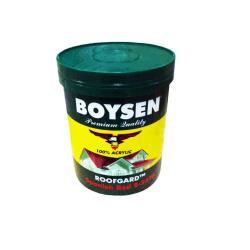 RGSR-BOY-1
